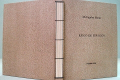 Libro-de-autor-28